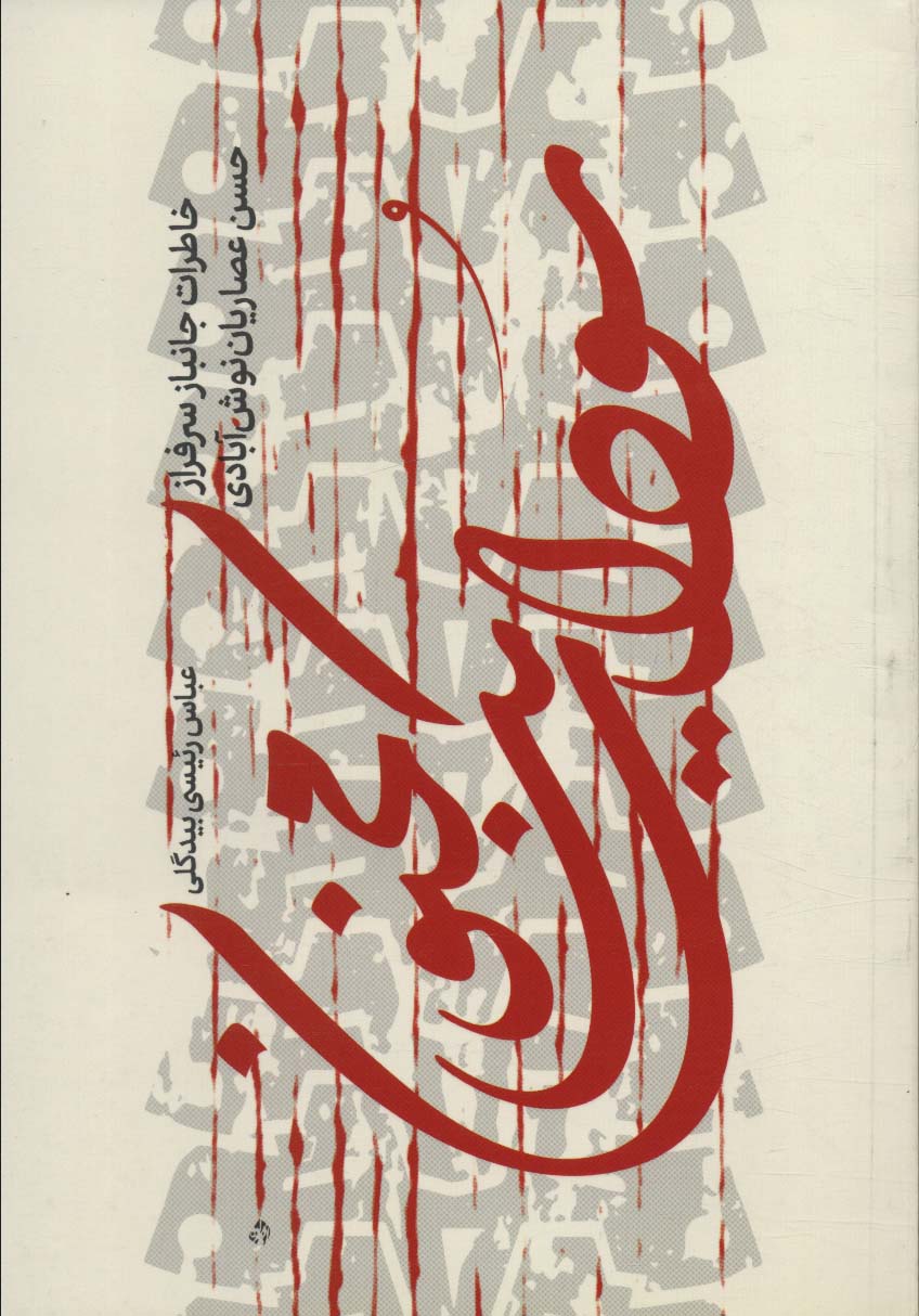 پایانه - سودای یک مجنون