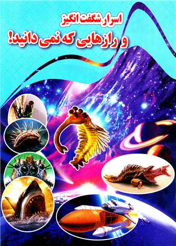 پایانه - اسرار شگفت انگیز و رازهایی که نمی دانید