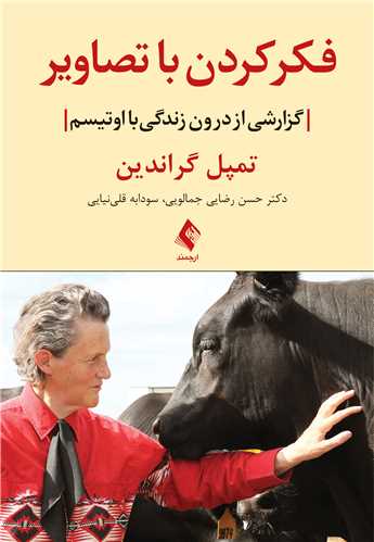 پایانه - فکر کردن با تصاویر