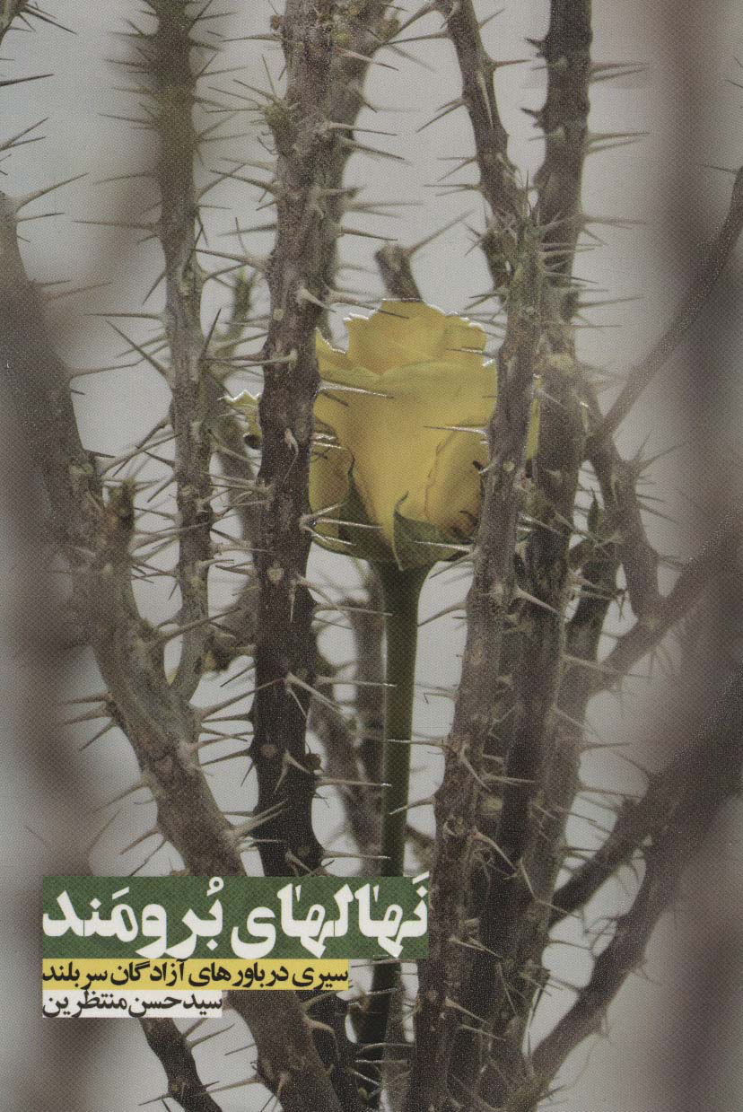 پایانه - نهالهای برومند