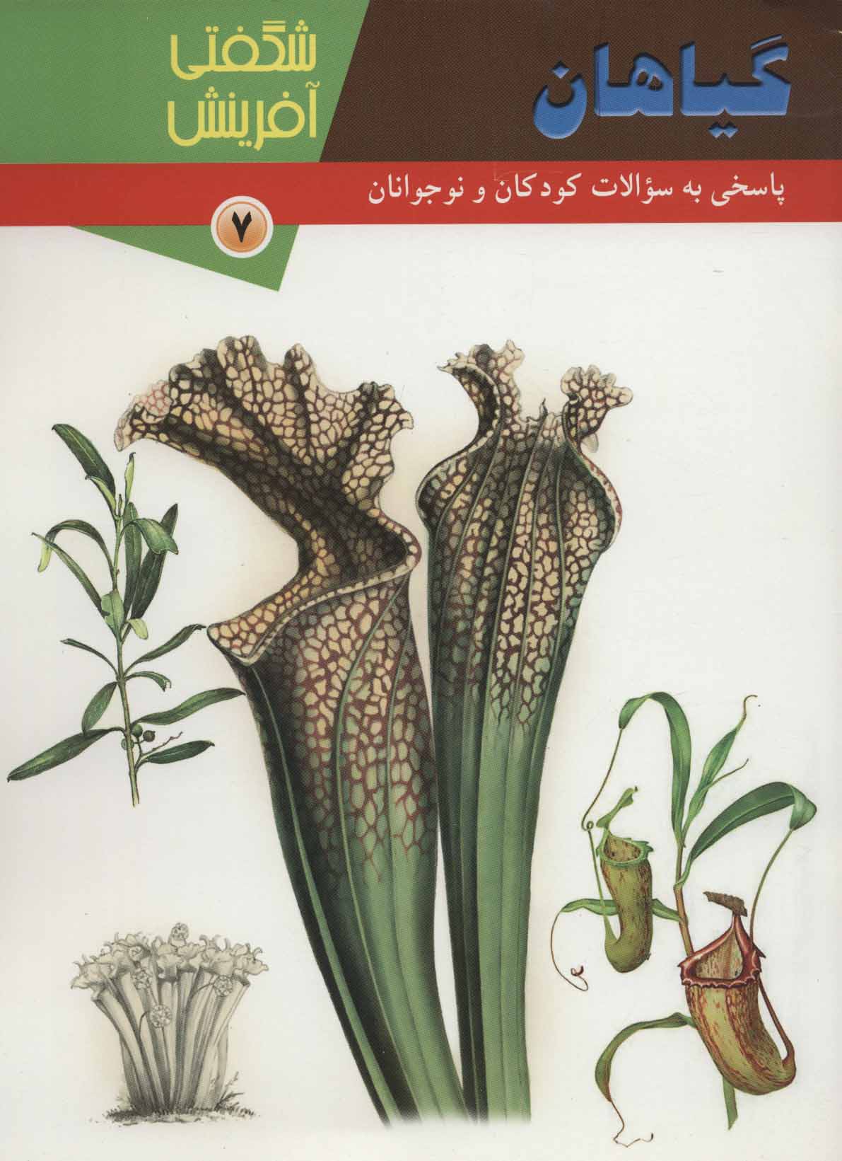 پایانه - گیاهان