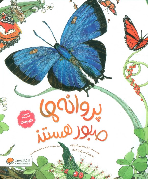 پایانه - پروانه ها صبور هستند