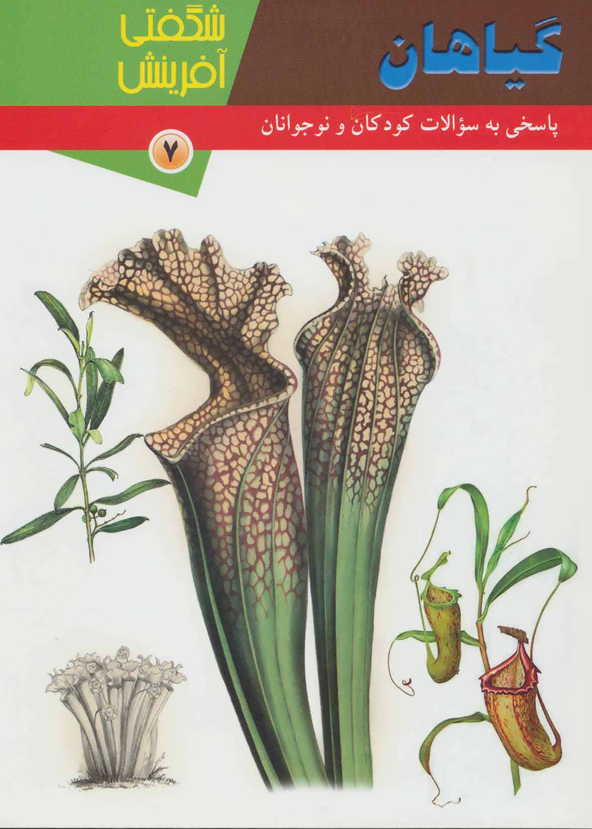 پایانه - گیاهان