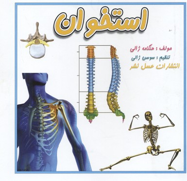 پایانه - استخوان