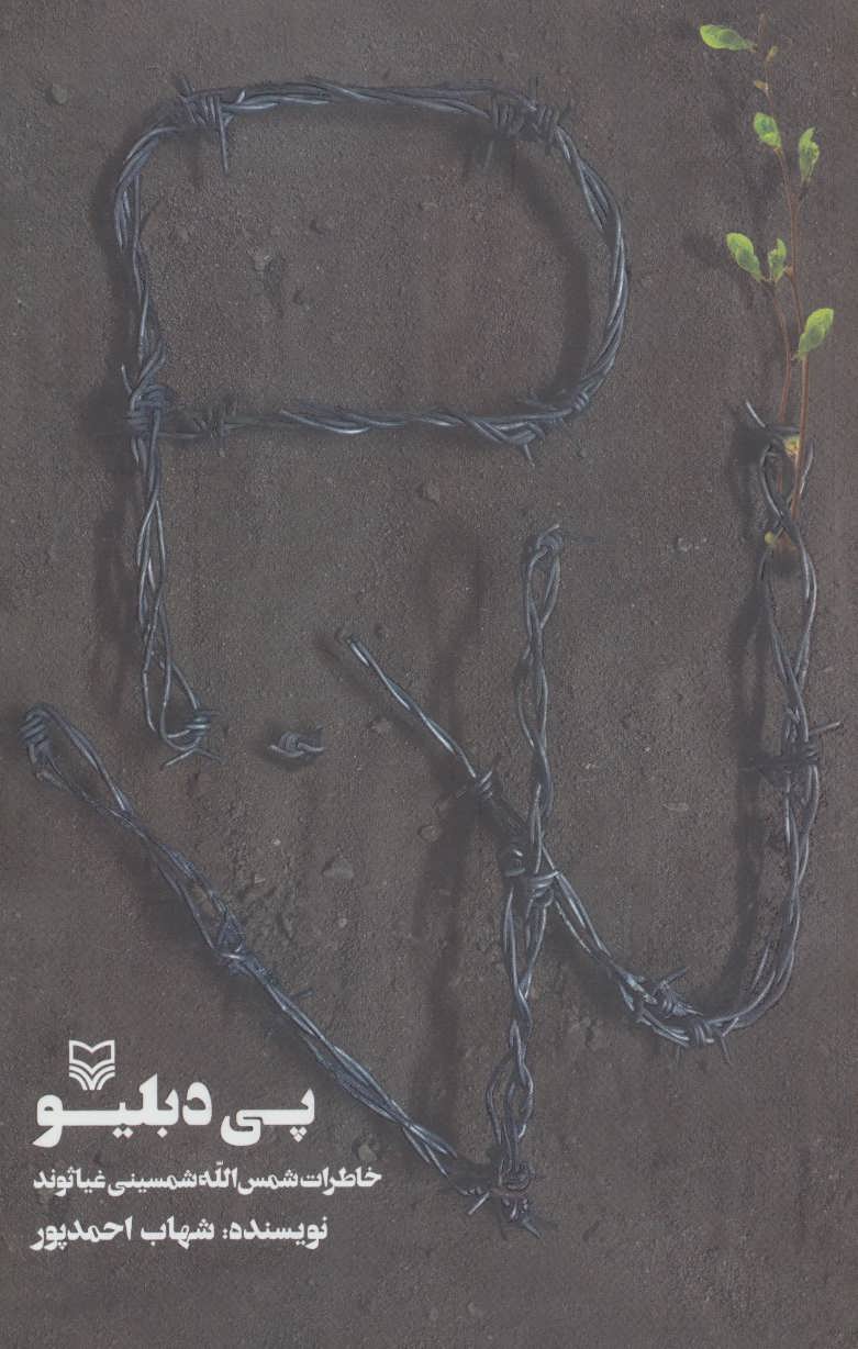 پایانه - پی دبلیو