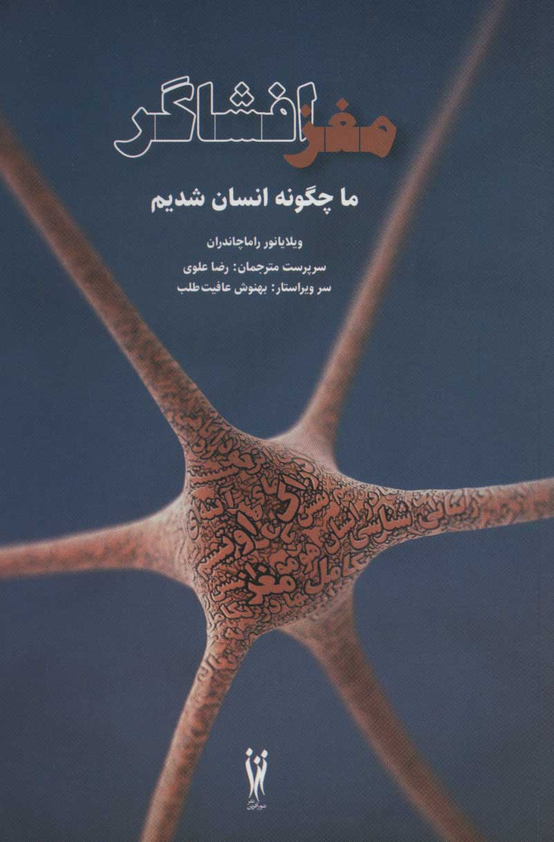 پایانه - مغز افشاگر