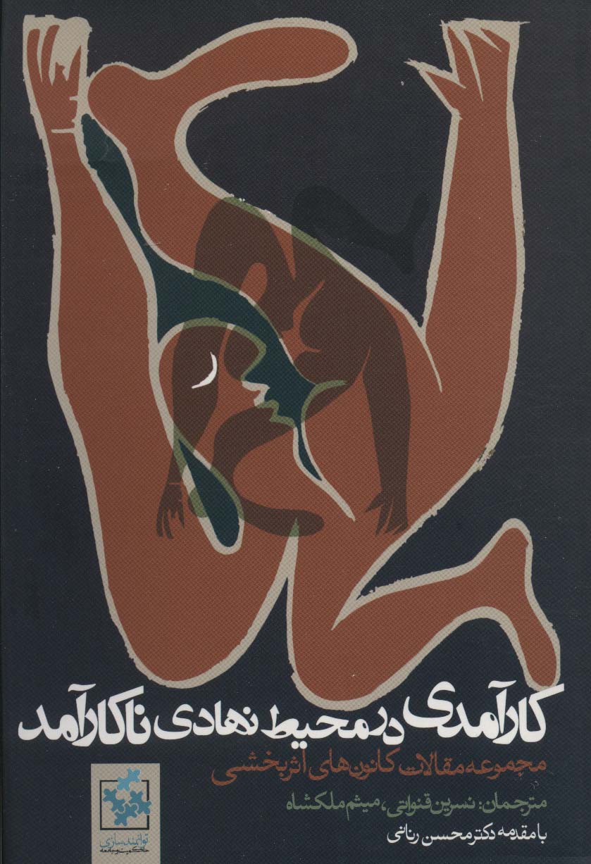 پایانه - کارآمدی در محیط نهادی ناکارآمد