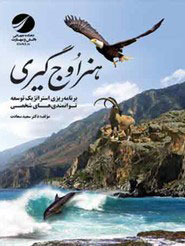 پایانه - هنر اوج گیری