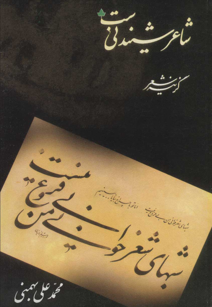 پایانه - شاعر شنیدنی ست