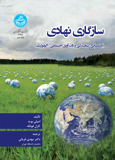 پایانه - سازگاری نهادی