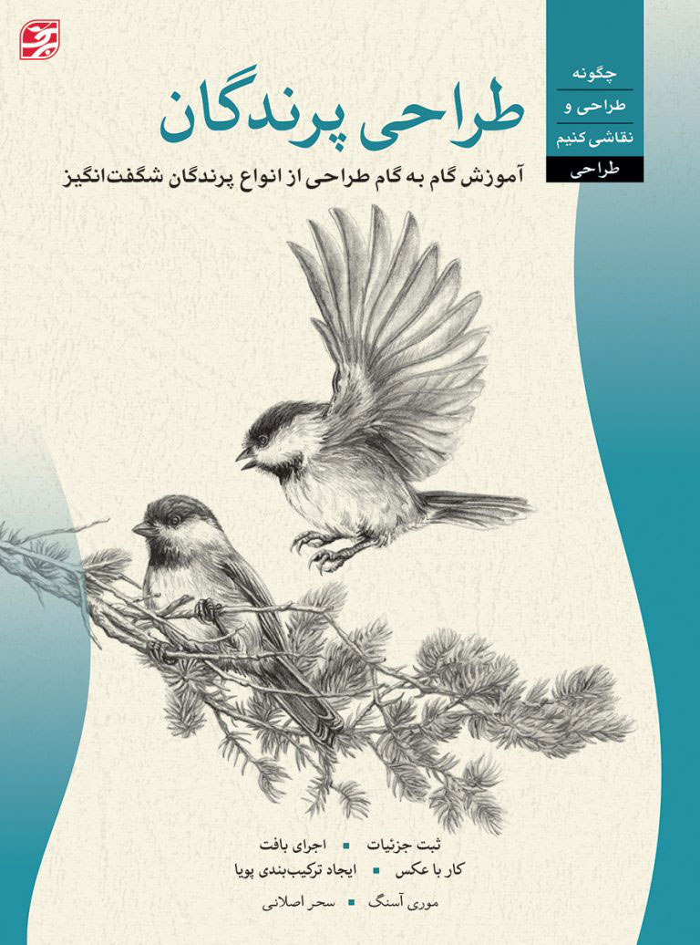 پایانه - طراحی پرندگان