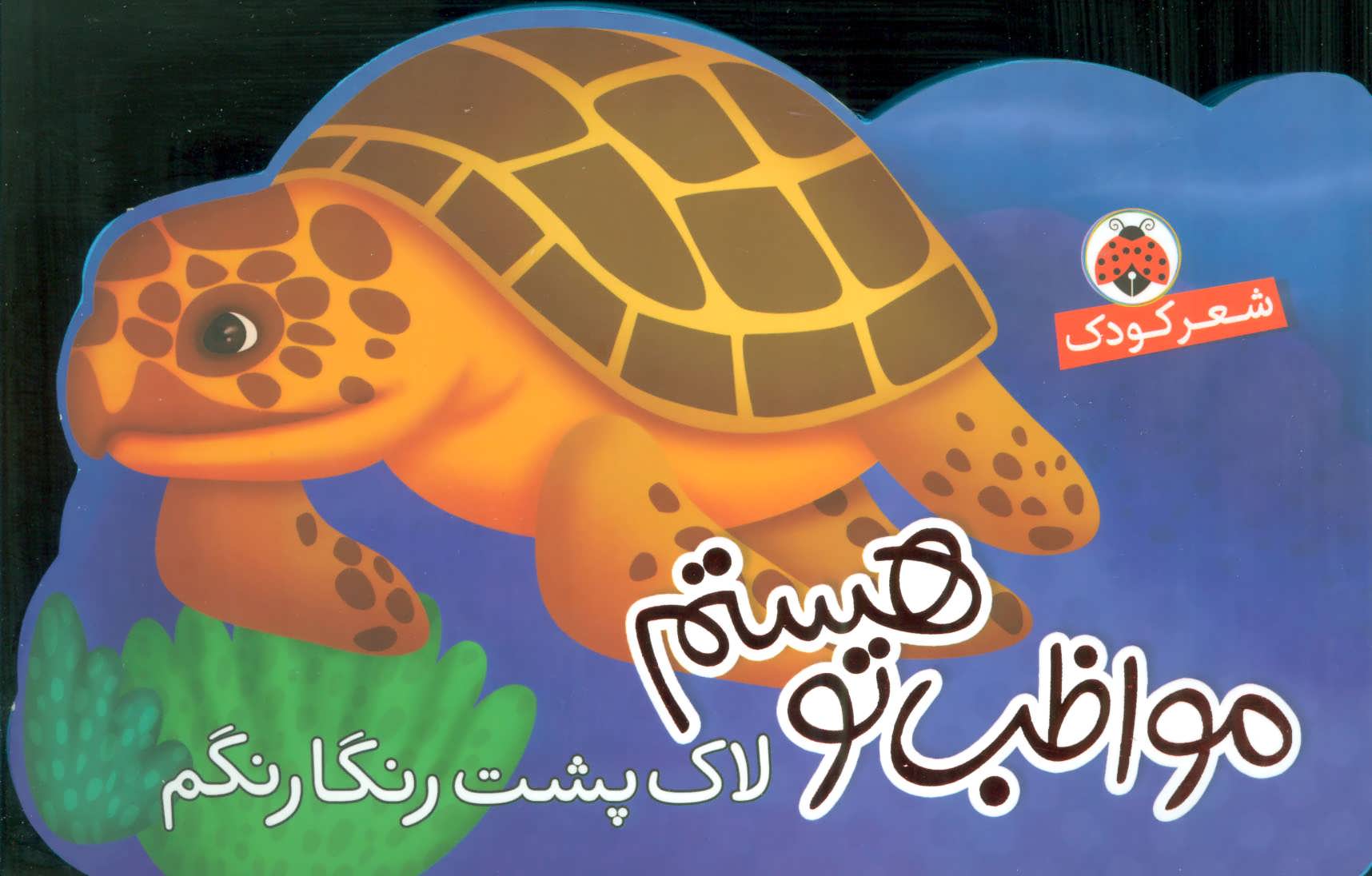 پایانه - مواظب تو هستم