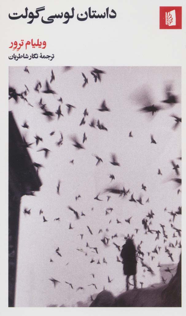 پایانه - داستان لوسی گولت