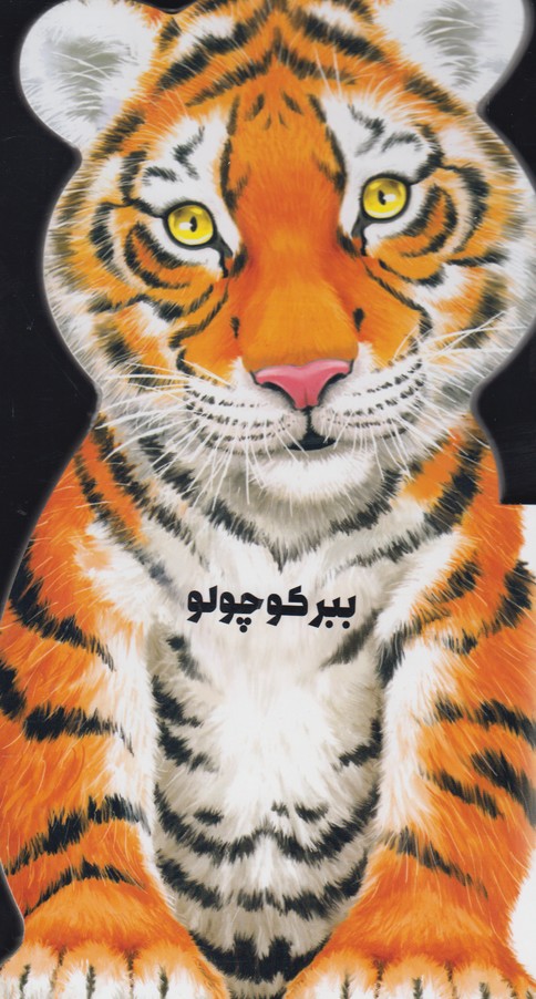 پایانه - ببر کوچولو