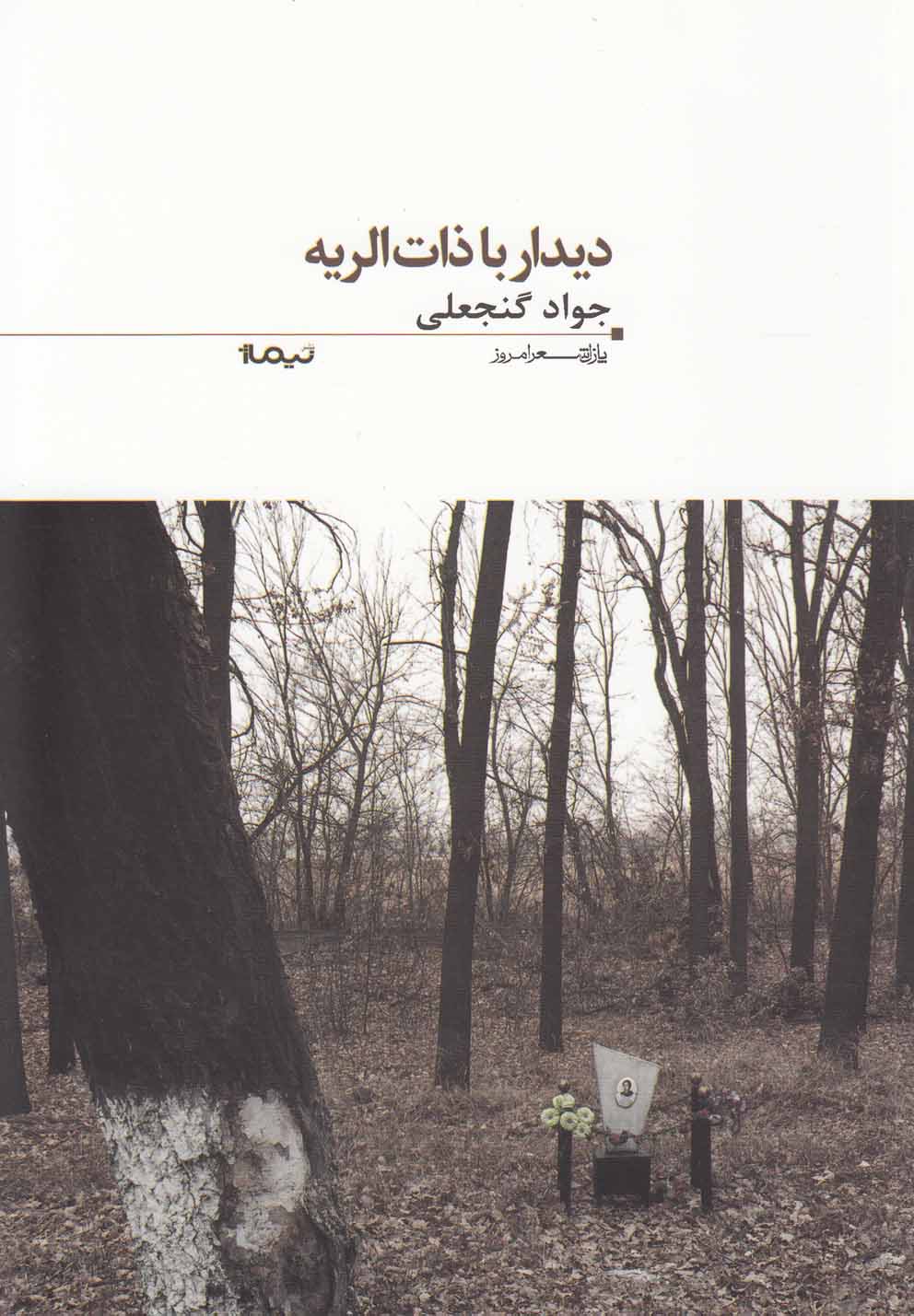 پایانه - دیدار با ذات الریه