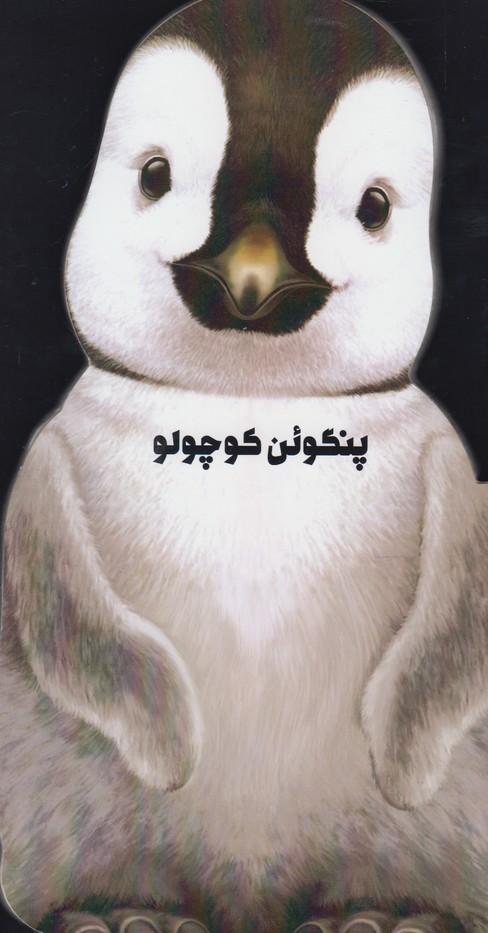 پایانه - پنگوئن کوچولو