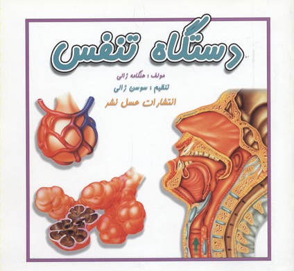 پایانه - دستگاه تنفس