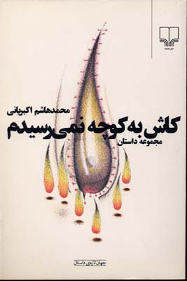 پایانه - کاش به کوچه نمی رسیدم