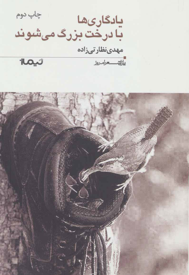 پایانه - یادگاری ها با درخت بزرگ می شوند