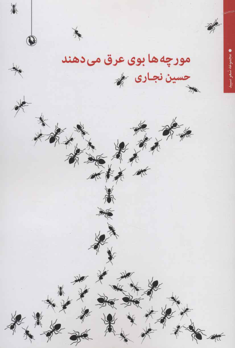 پایانه - مورچه ها بوی عرق می دهند