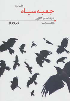 پایانه - جعبه سیاه