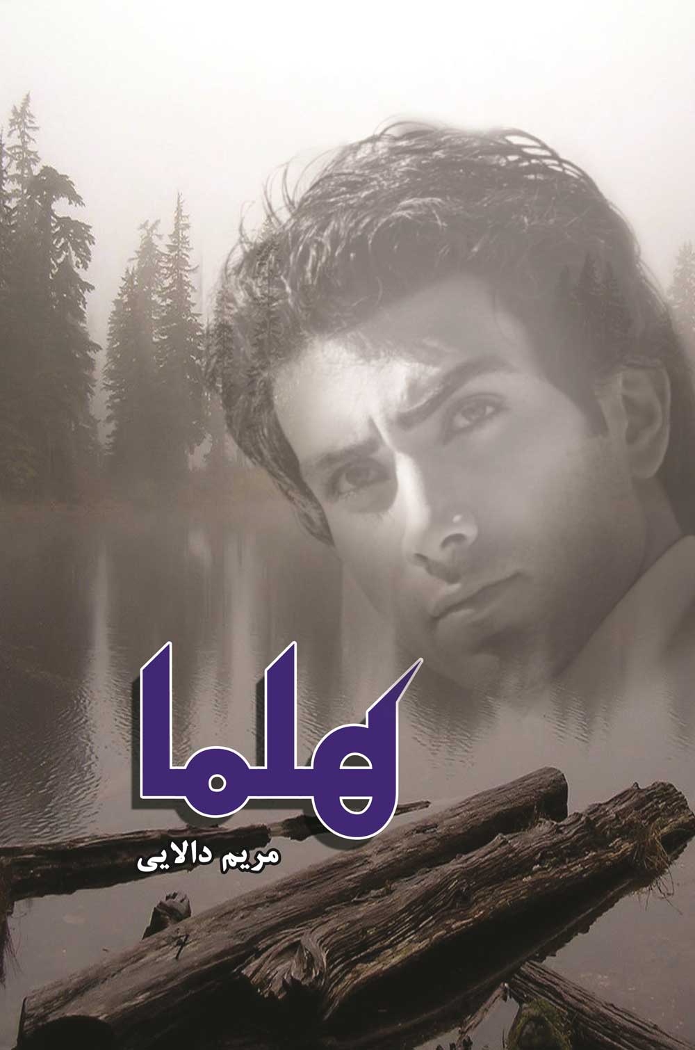 پایانه - هلما