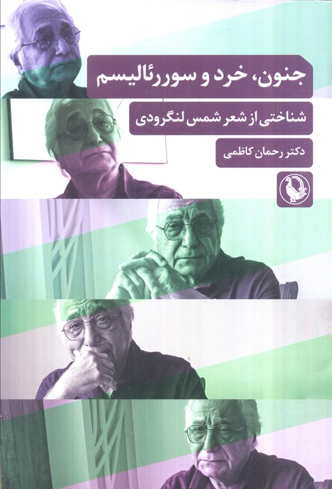 پایانه - جنون، خرد و سوررئالیسم