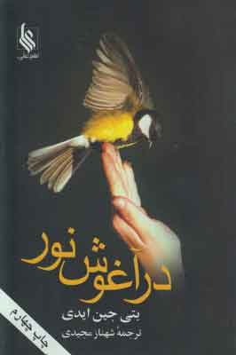 پایانه - در آغوش نور