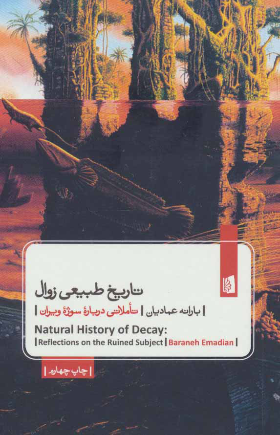 پایانه - تاریخ طبیعی زوال