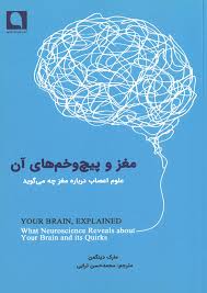 پایانه - مغز و پیچ و خم های آن