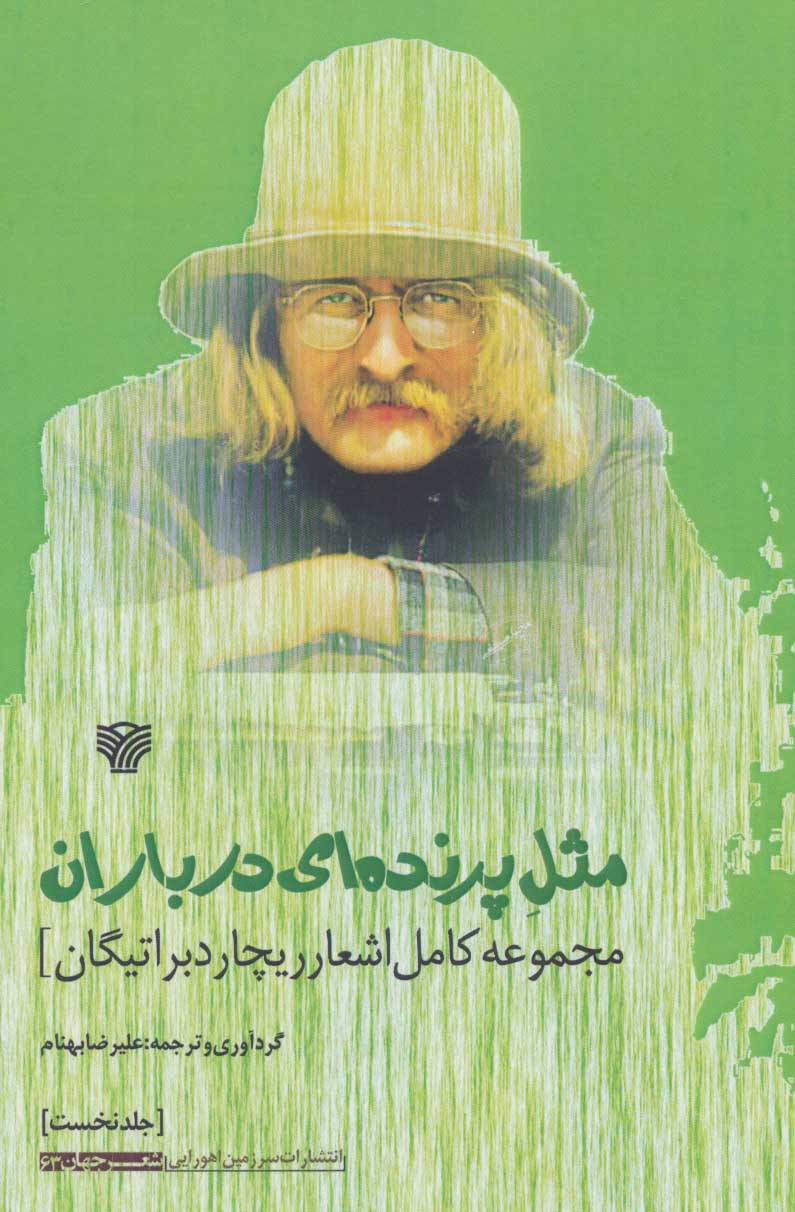 پایانه - مثل پرنده ای در باران