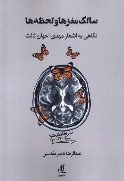 پایانه - سالک مغزها و لحظه ها