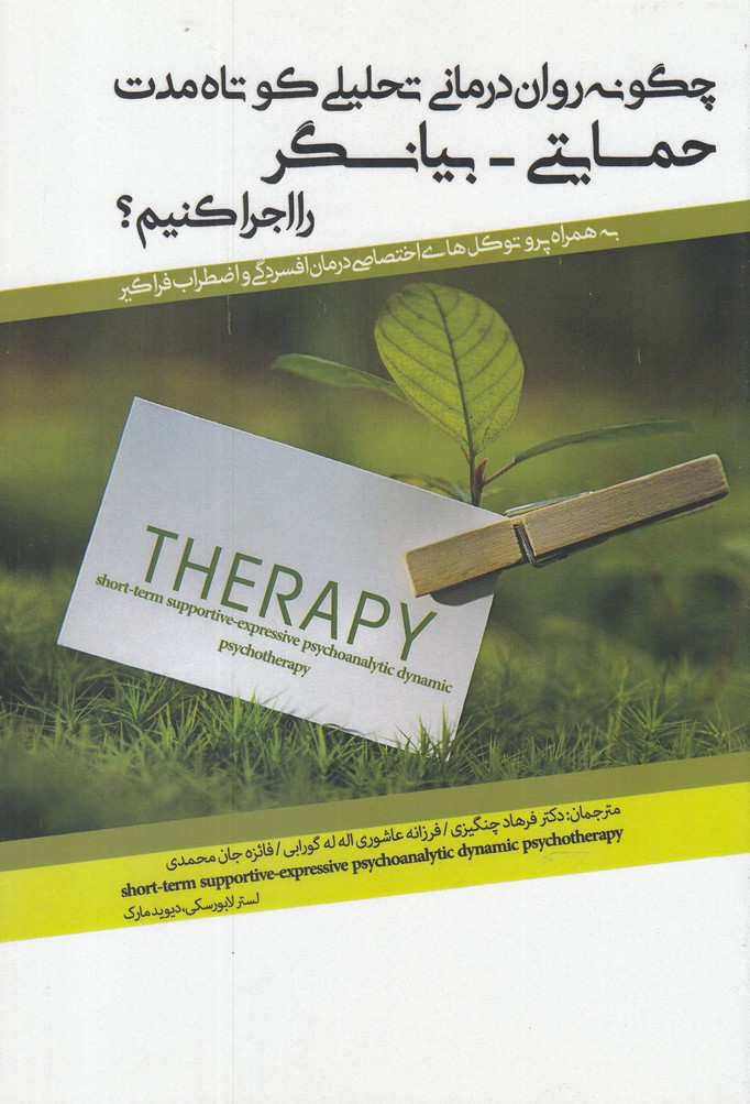 پایانه - چگونه روان درمانی تحلیلی کوتاه مدت حمایتی - بیانگر را اجرا کنیم؟