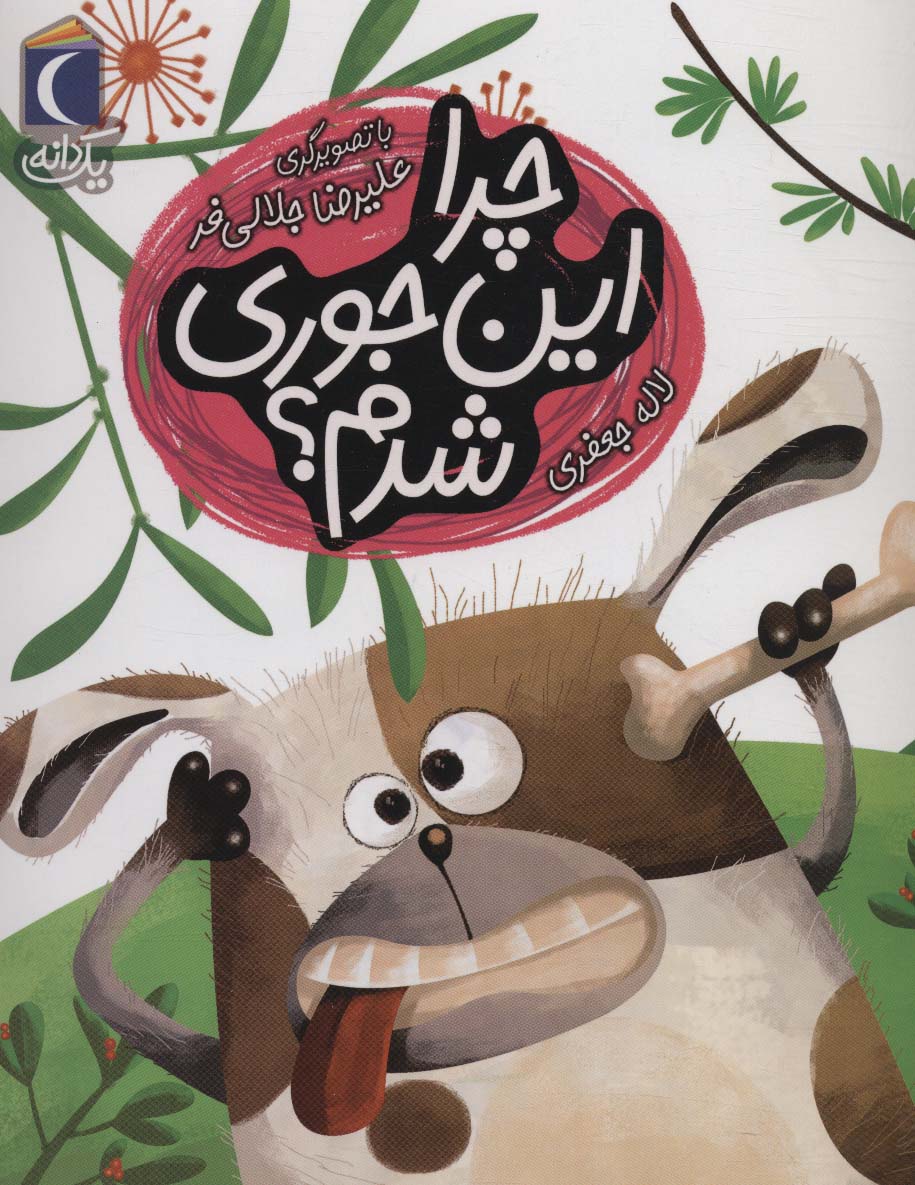 پایانه - چرا این جوری شدم؟