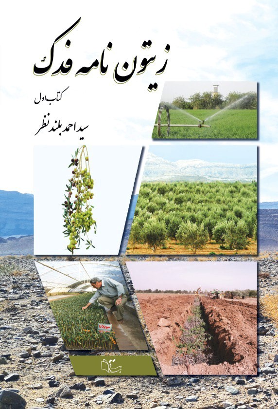 پایانه - زیتون نامه فدک (1)