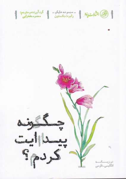 پایانه - چگونه پیدایت کردم