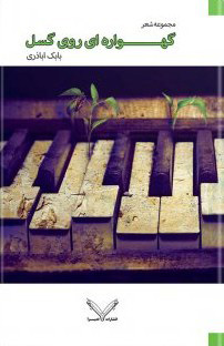 پایانه - گهواره ای روی گسل