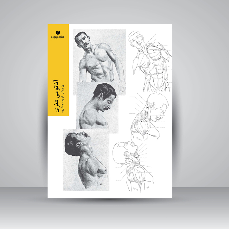 پایانه - آناتومی هنری