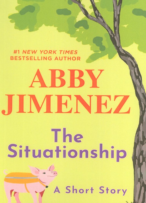 پایانه - The Situationship