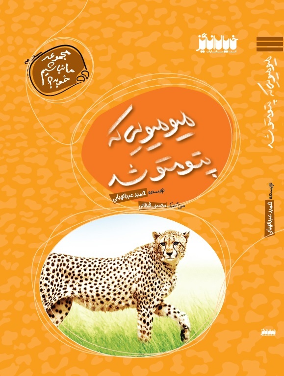 پایانه - میومیویی که پتو متو شد