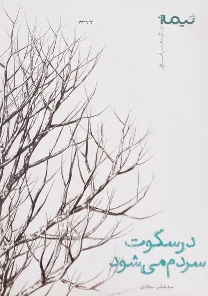 پایانه - در سکوت سردم می شود