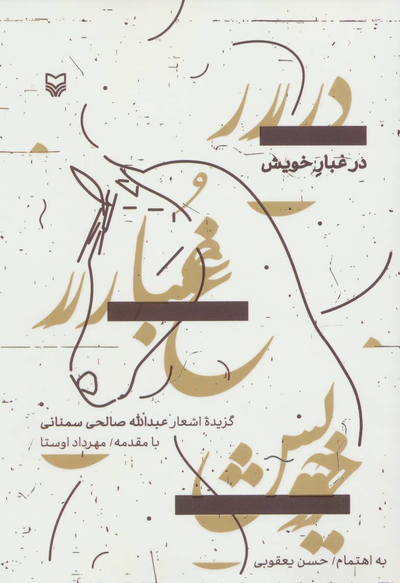 پایانه - در غبار خویش