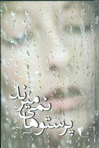 پایانه - پرستوها نمی میرند