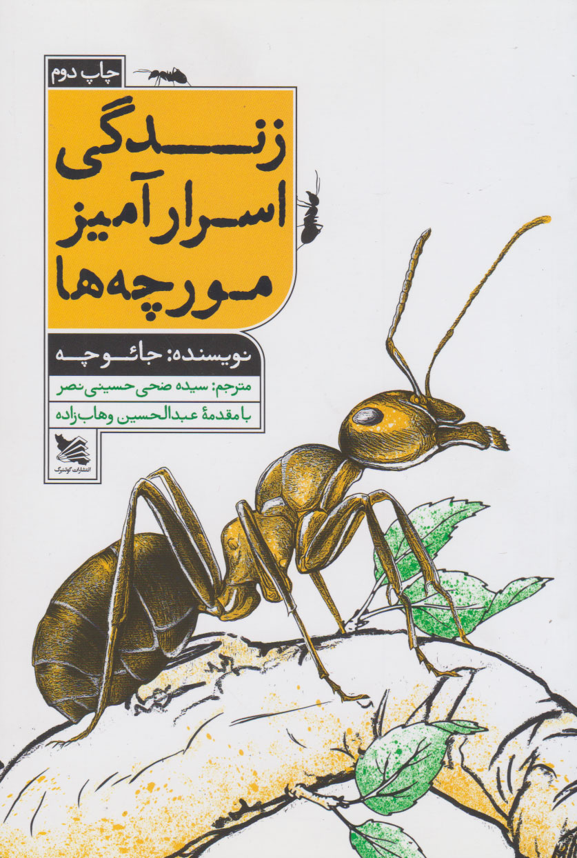 پایانه - زندگی اسرار آمیز مورچه ها