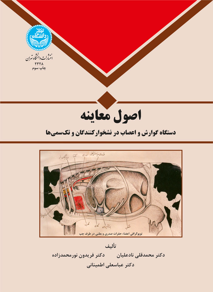 پایانه - اصول معاینه