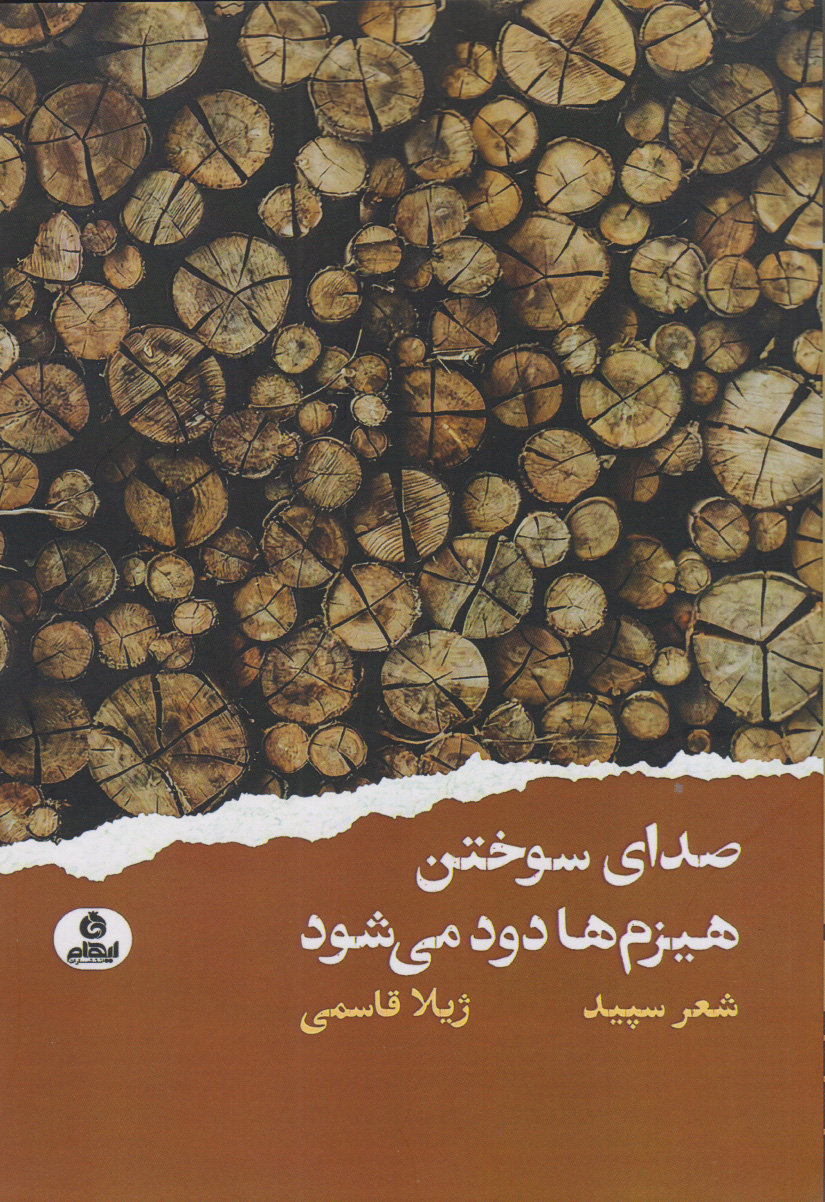 پایانه - صدای سوختن هیزم ها دود می شود