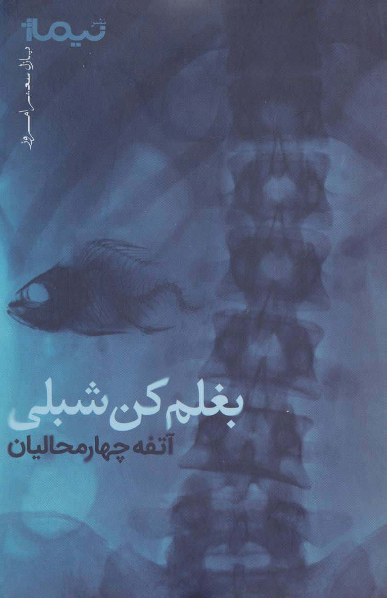 پایانه - بغلم کن شبلی