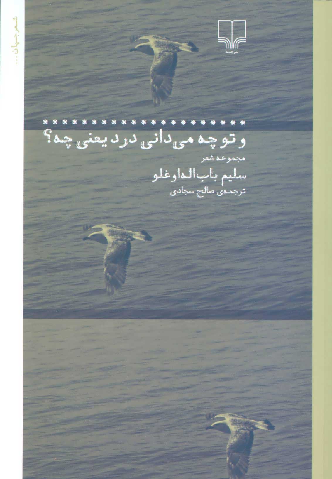 پایانه - و تو چه می دانی درد یعنی چه؟