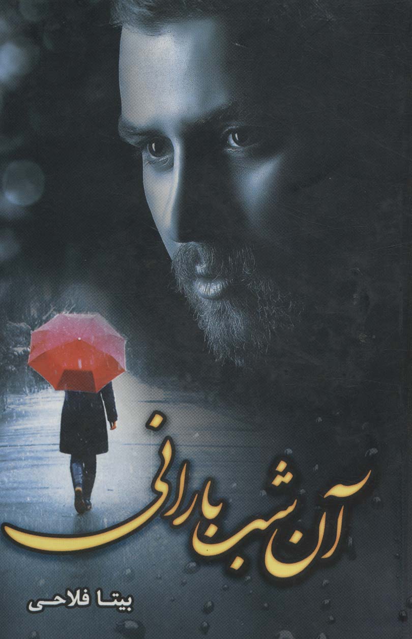 پایانه - آن شب بارانی