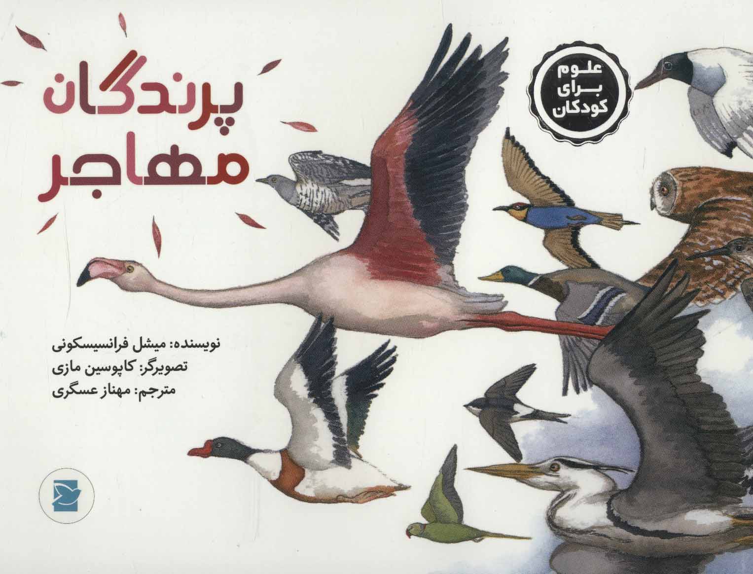 پایانه - پرندگان مهاجر